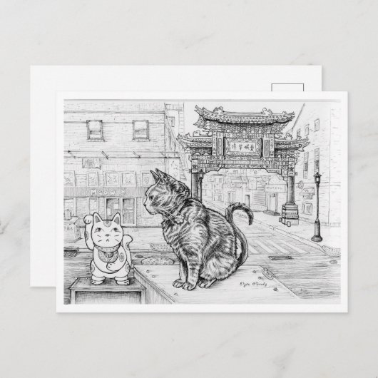 Philly Cat in Chinatown ポストカード (正面/裏面)