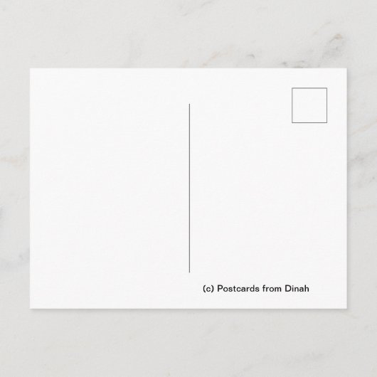 Philly Cat in Chinatown ポストカード (裏面)