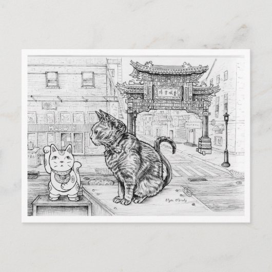 Philly Cat in Chinatown ポストカード (正面)