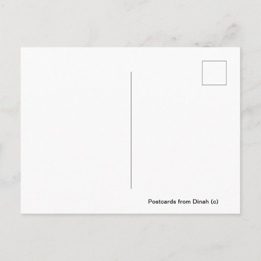 Philly Cat in Rittenhouse ポストカード (裏面)