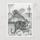 Philly Cat in Rittenhouse ポストカード (正面)