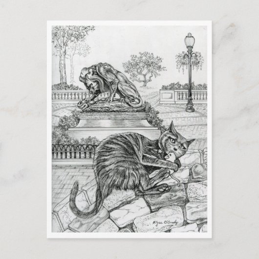 Philly Cat in Rittenhouse ポストカード (正面)