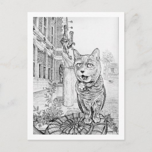 Philly Cat near Academy of Natural Sciences  ポストカード (正面)