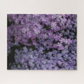Phlox A Plenty ジグソーパズル (横)