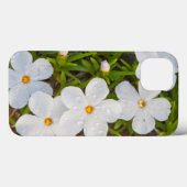 Phlox Close-up、サブレット郡Wyoming氏 Case-Mate iPhoneケース (裏面 (横))