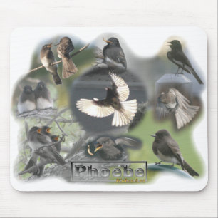 Phoebe鳥の写真のコラージュ マウスパッド