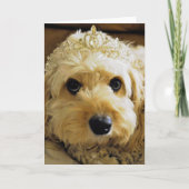 PhoebeetePrincess、Cavapoo Greetings Card カード (正面)