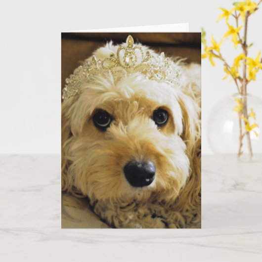 PhoebeetePrincess、Cavapoo Greetings Card カード (黄色い花)