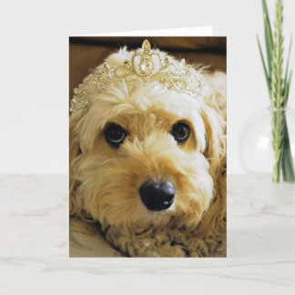 PhoebeetePrincess、Cavapoo Greetings Card カード
