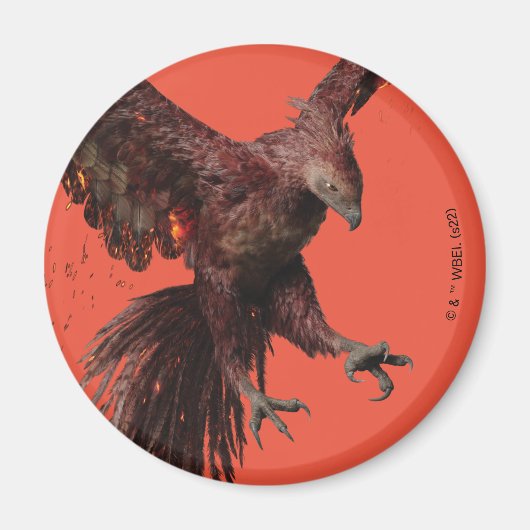 Phoenixグラフィック飛んでいる マグネット (正面)