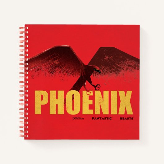 Phoenix Vingate Graphic ノートブック (正面)