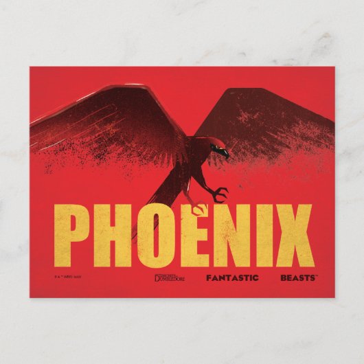 Phoenix Vingate Graphic ポストカード (正面)