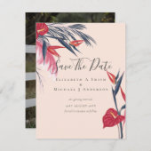 PHOTO モダン Dates救 Pampas Grass Tropical (正面/裏面)