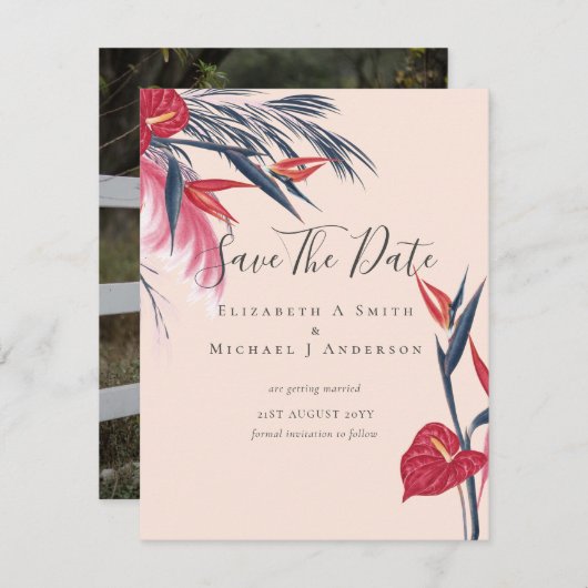 PHOTO モダン Dates救 Pampas Grass Tropical (正面/裏面)