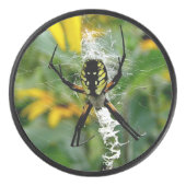 Photo 素晴らし Orb Spiderのくもの巣 アイスホッケーパック (正面)