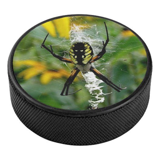 Photo 素晴らし Orb Spiderのくもの巣 アイスホッケーパック (3/4)