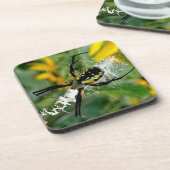 Photo 素晴らし Orb Spiderのくもの巣 コースター (左側)