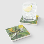 Photo 素晴らし Orb Spiderのくもの巣 ストーンコースター (横)