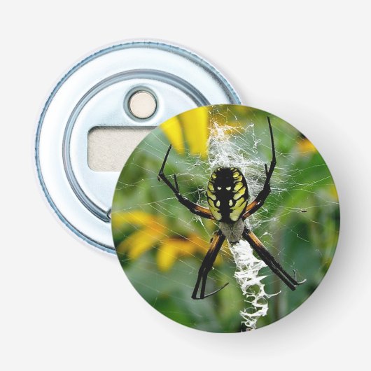 Photo 素晴らし Orb Spiderのくもの巣 栓抜き (正面)