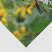 Photo 素晴らし Orb Spiderのくもの巣 薄葉紙 (詳細)