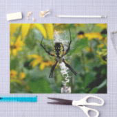Photo 素晴らし Orb Spiderのくもの巣 薄葉紙 (クラフト)