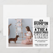 Photo Bumpin’ Around the Christmas Tree Pregnancy  シーズンカード (正面/裏面)