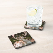 photo cerf sous les bois コースター (右側)