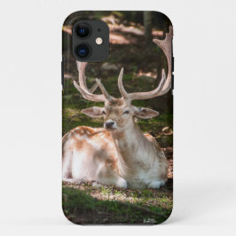 photo cerf sous les bois iPhone 11 ケース
