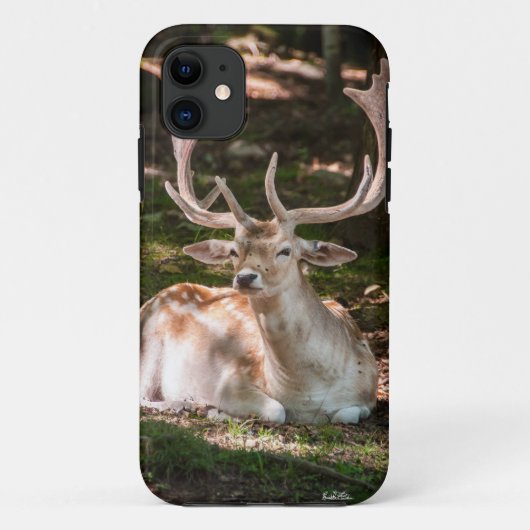 photo cerf sous les bois Case-Mate iPhoneケース (裏面)