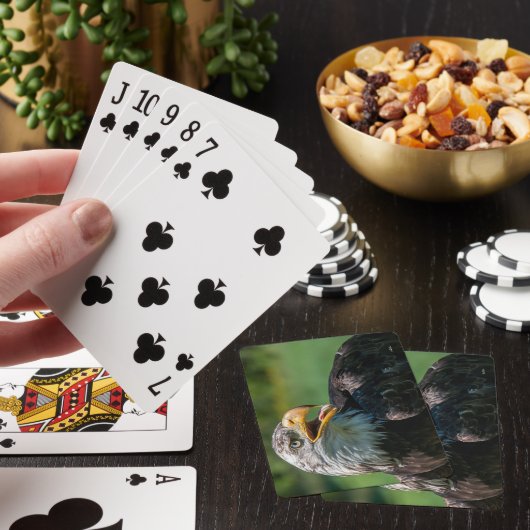 photo d'aigle トランプ (インサイチュ)