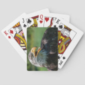 photo d'aigle トランプ (裏面)