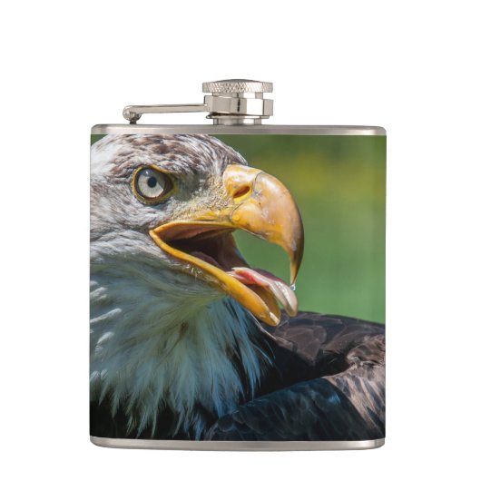 photo d'aigle フラスク (正面)