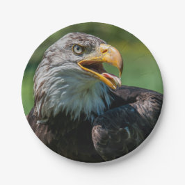 photo d'aigle ペーパープレート