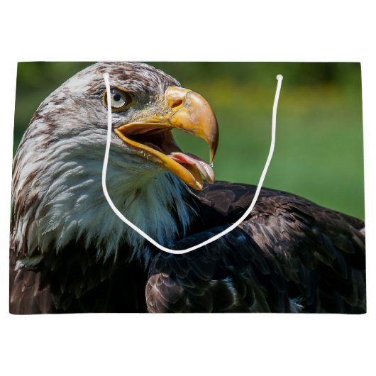 photo d'aigle ラージペーパーバッグ (正面)
