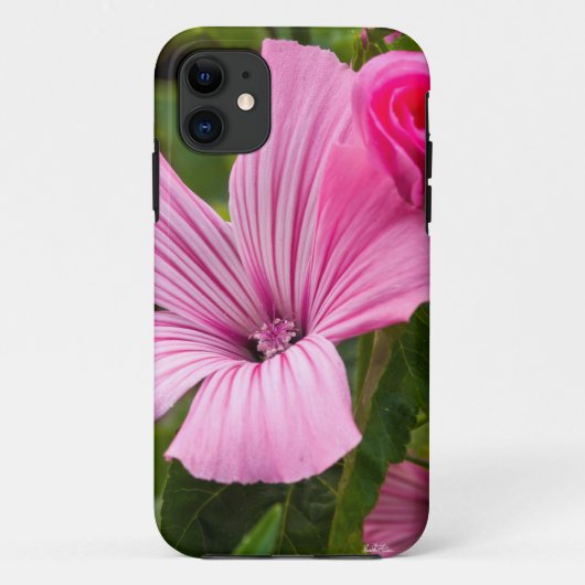 photo de fleur rose avec la rosée du matin Case-Mate iPhoneケース (裏面)