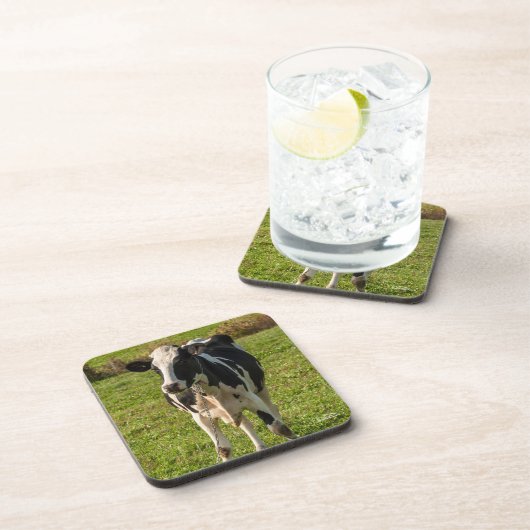 photo de vache コースター (右側)