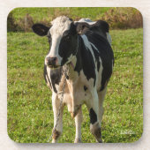 photo de vache コースター (正面)