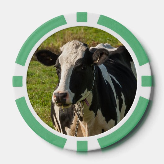 photo de vache ポーカーチップ (正面)