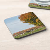 photo de vaches avec arbre コースター (左側)