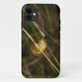 photo d'insecte dans une coquille sur une herbe iPhone 11 ケース