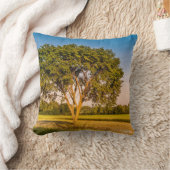 photo d'un arbre dans un champs. クッション (ブランケット)