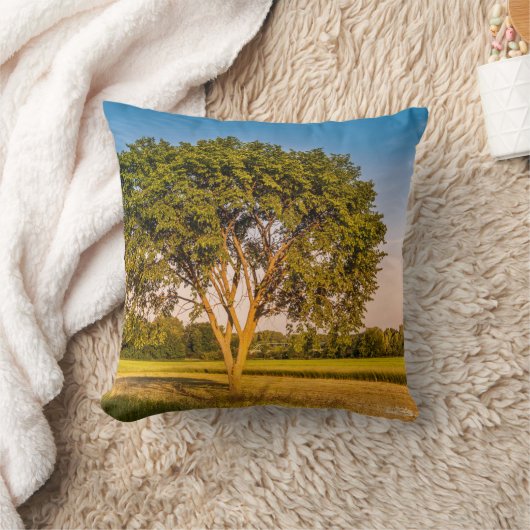 photo d'un arbre dans un champs. クッション (ブランケット)