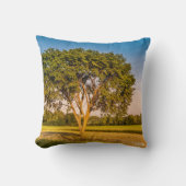 photo d'un arbre dans un champs. クッション (正面)