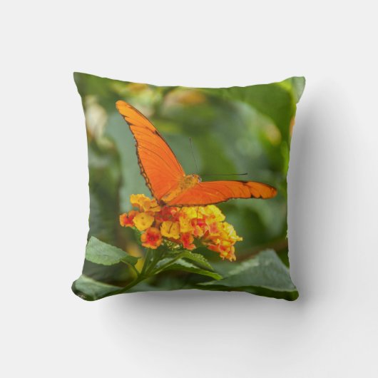 photo d'un papillon sur une fleur クッション (正面)
