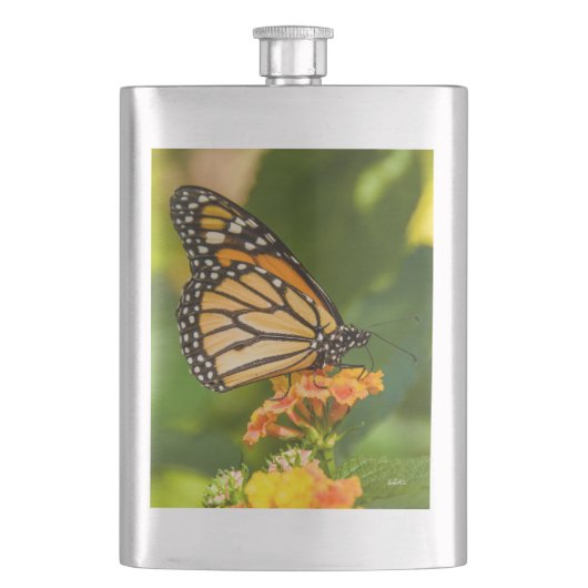 photo d'un papillon sur une fleur フラスク (正面)