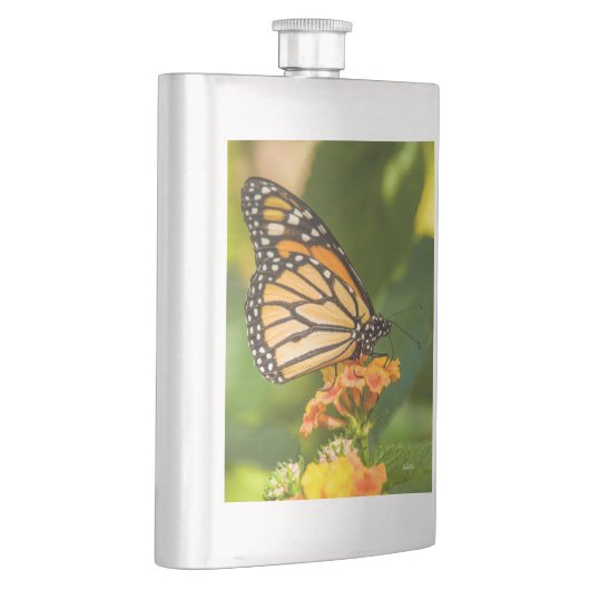 photo d'un papillon sur une fleur フラスク (右)