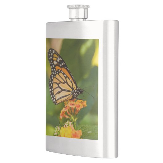 photo d'un papillon sur une fleur フラスク (左)