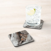 photo d'une coccinelle コースター (右側)