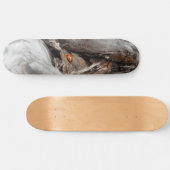 photo d'une coccinelle スケートボード (横)