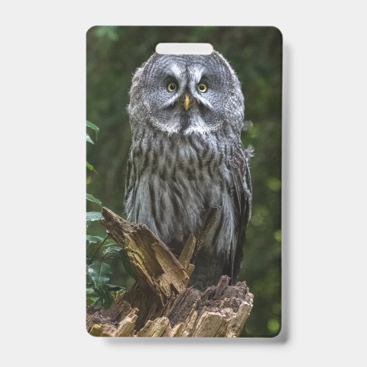 Photo Enlargement バッジ (正面)